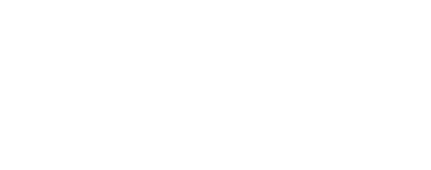 Fabian Stelzer Logo
